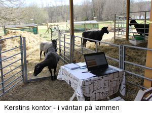 Kerstins kontor.jpg